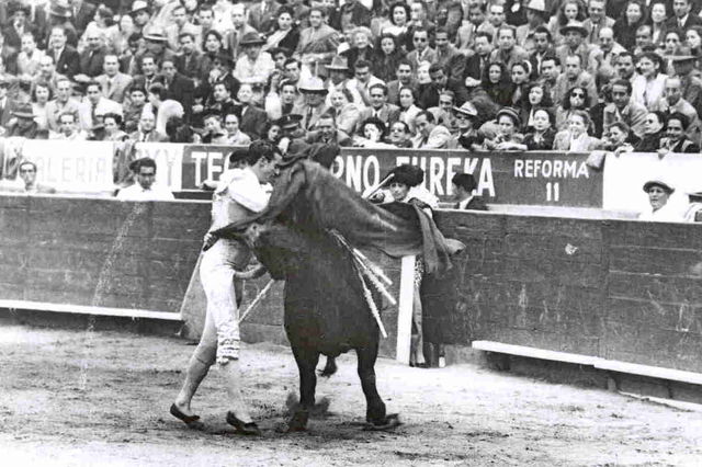 Plaza de Toros México. Cornada a 